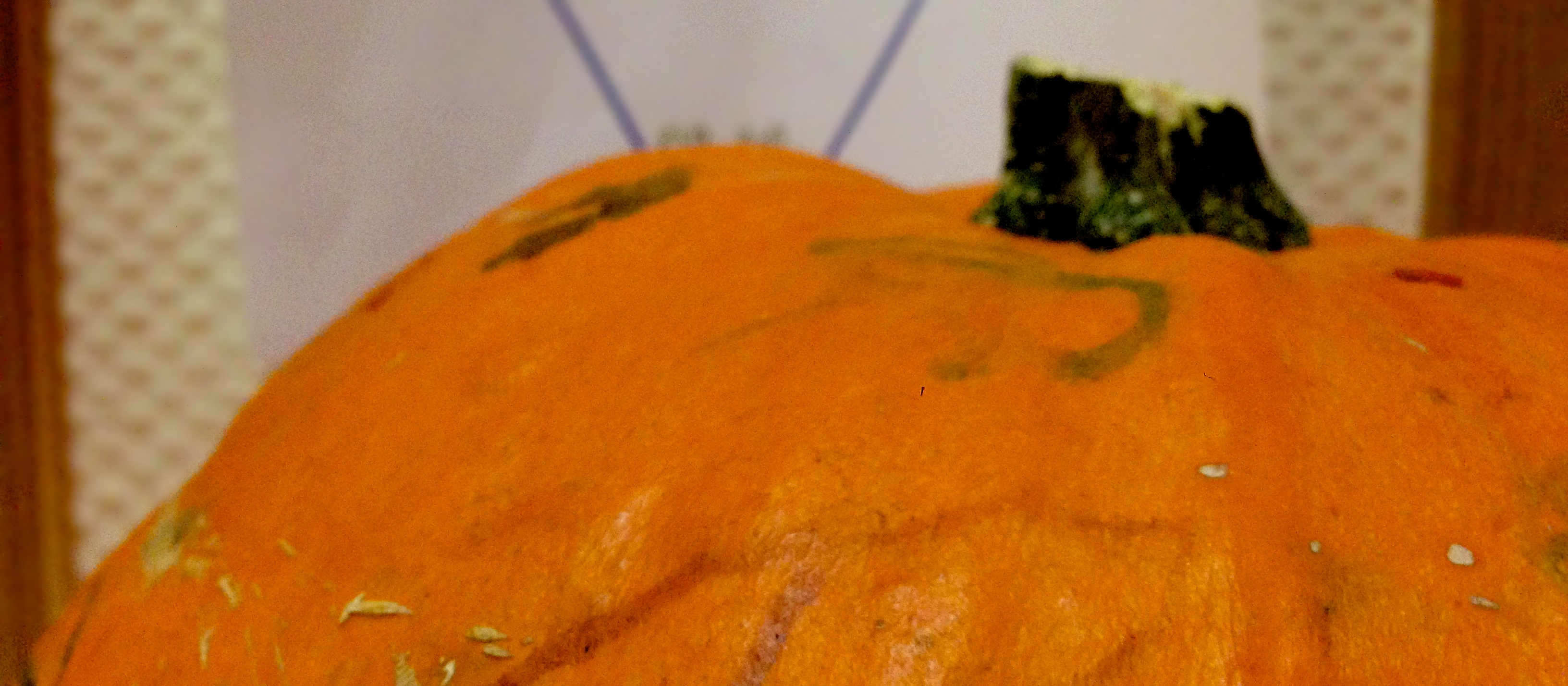 Alles neu macht der Herbst Alles neu macht der Herbst